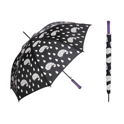 遇水变色雨伞半自动直骨伞